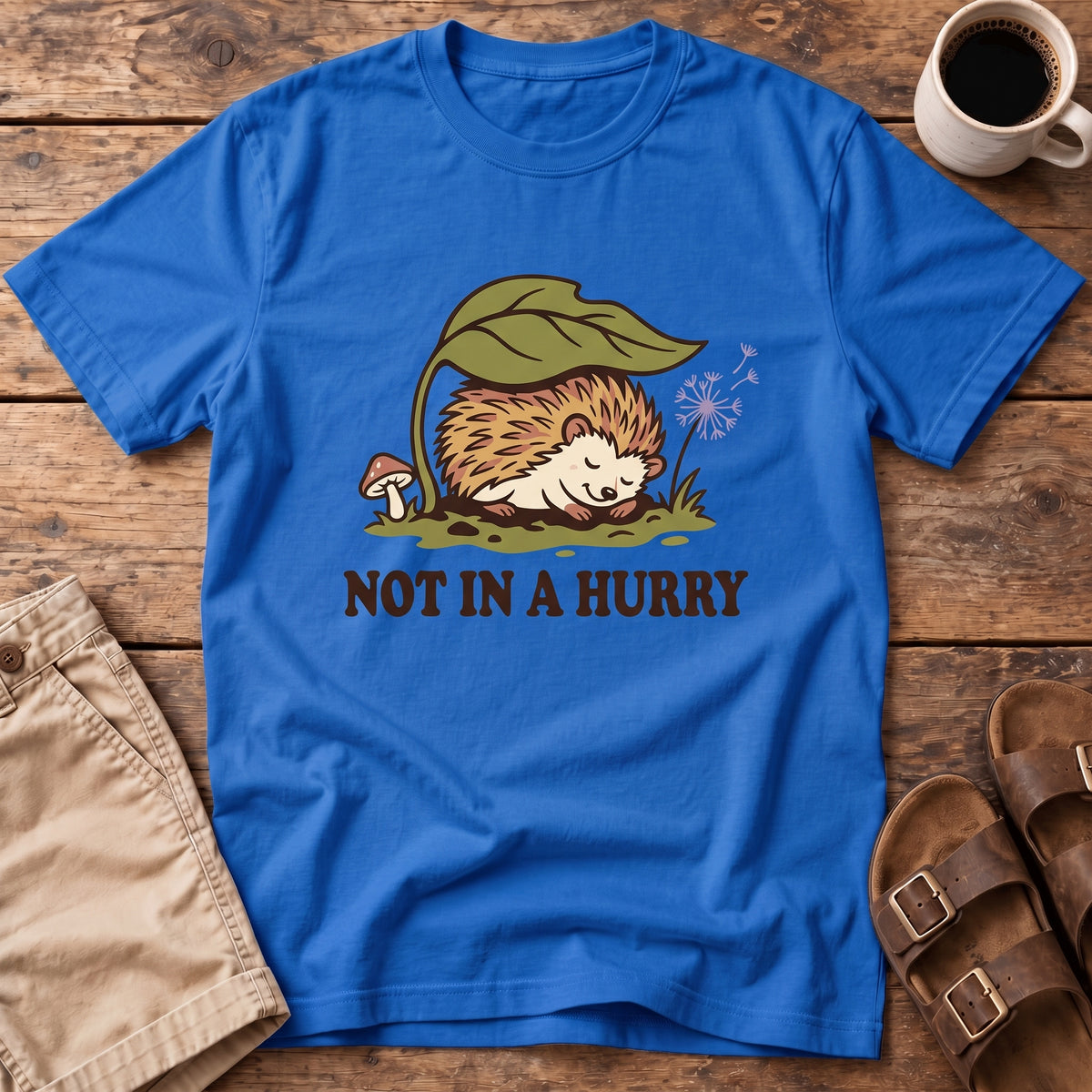 Not In Hurry Hedgehog T-Shirt